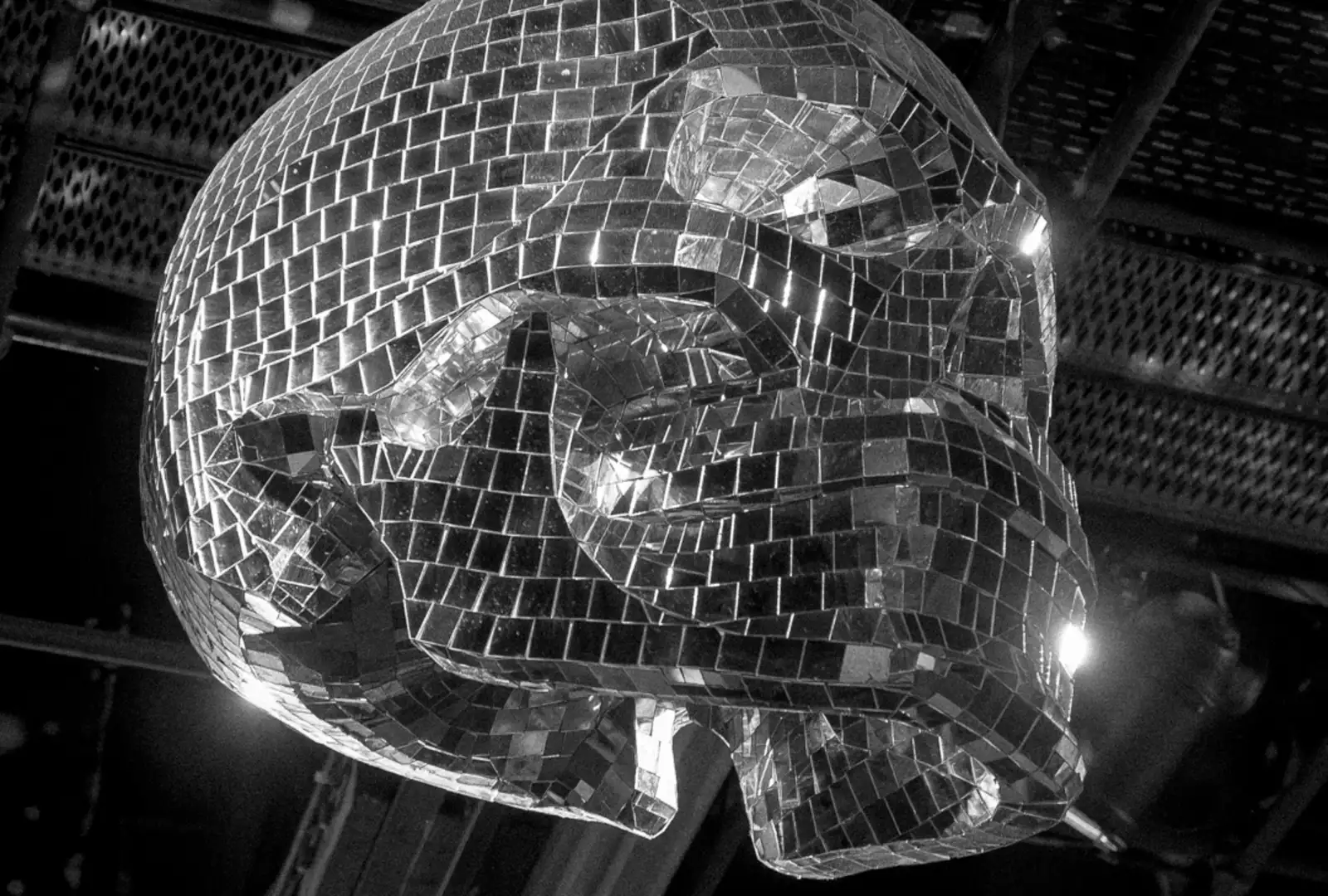 Photo en noir et blanc de Skully 